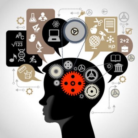 NEUROPSICOPEDAGOGIA